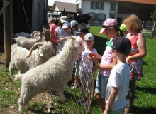 Août 2016 - Mohair du Jorat