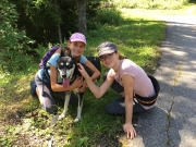 Cani-rando aout_02