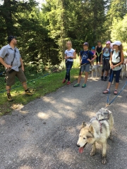 Cani-rando aout_04