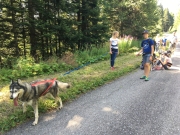 Cani-rando aout_06