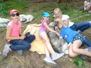 Cani-rando aout_08