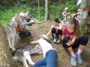 Cani-rando aout_10
