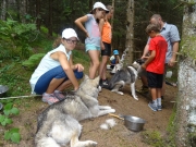 Cani-rando aout_12