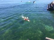 ski_nautique_pedalo_6