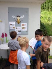 graines_apiculture_4