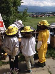 graines_apiculture_5