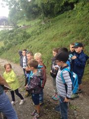 graines_apiculture_9b