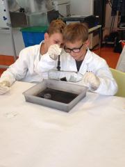 pompiers_police_scientifique_9c