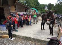 Juillet 2018 - Ballade avec les ânes